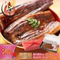 【母の日ギフトセット】うなぎ 蒲焼き 国産 無頭 大サイズ 165g前後×2尾