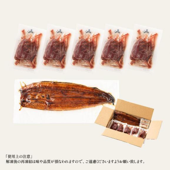 うなぎ 馬刺し セット ウナギ142g前後×1尾 赤身50g×5袋 蒲焼き06