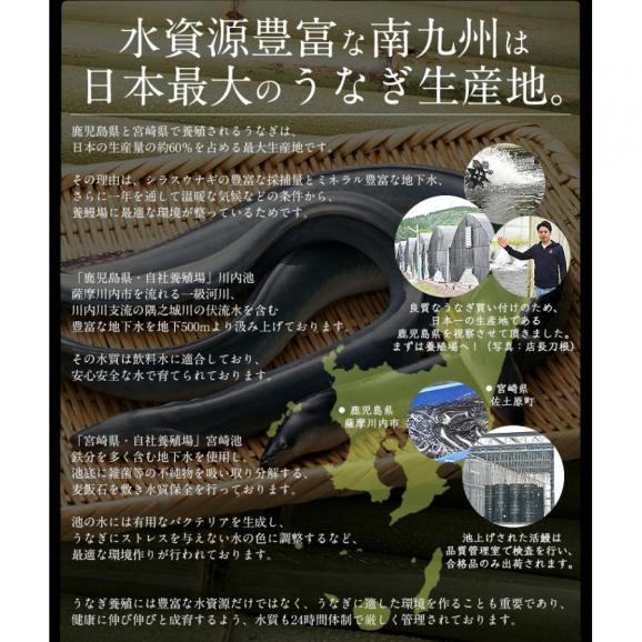 うなぎ 蒲焼き 国産 ひつまぶし 刻み 80g×1袋03