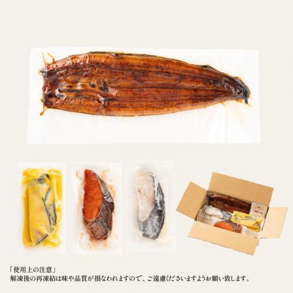 うなぎ 銀鱈 セット ウナギ142g前後×1尾 銀だら80g×3切06