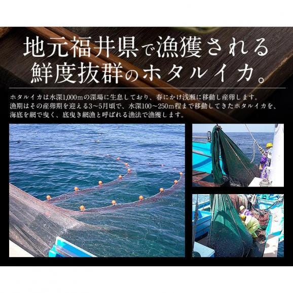 ホタルイカ 生食用 ほたるいか 1kg（500g×2袋）03