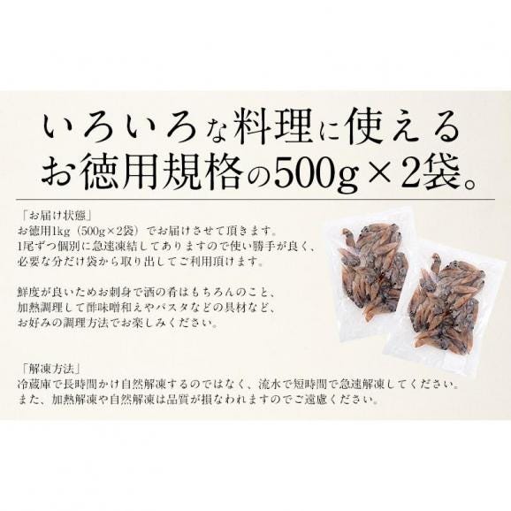 ホタルイカ 生食用 ほたるいか 1kg（500g×2袋）06