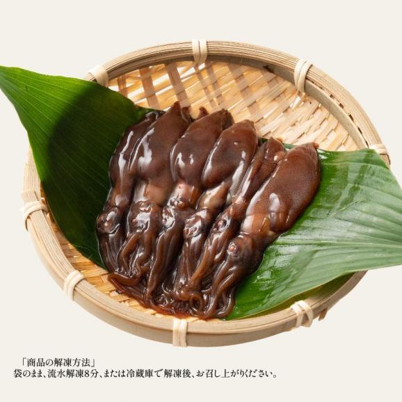 ホタルイカ 沖漬け 120g 越前産 ほたるいか06