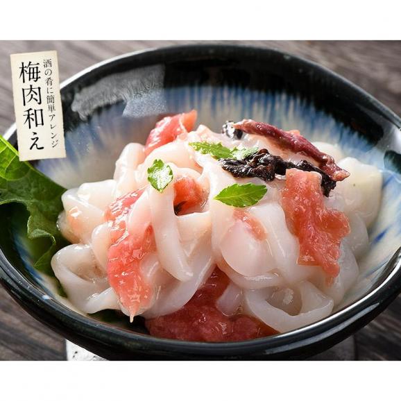 イカそうめん 450g（10枚入）05