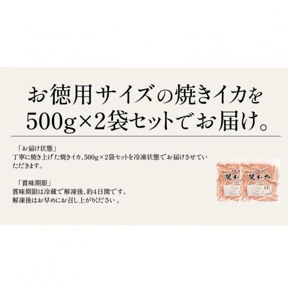 浜塩焼きイカ 1kg 焼きイカ 焼きいか 冷凍05