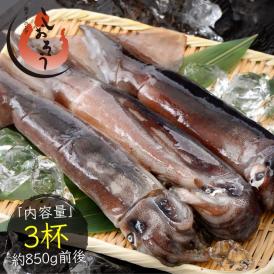 するめいか 3杯 （約850g前後）