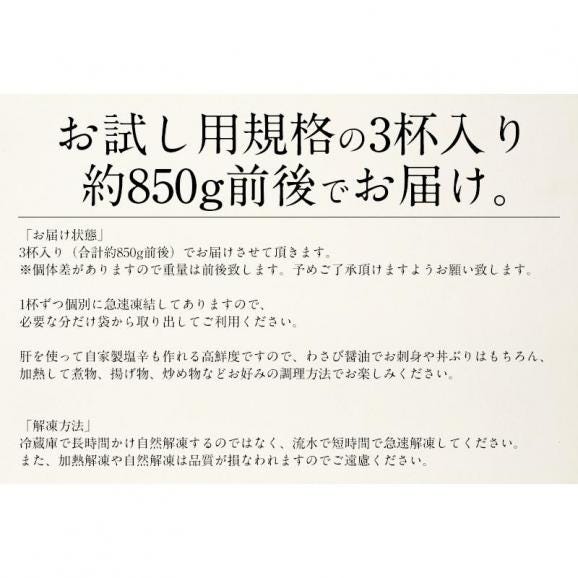 するめいか 3杯 （約850g前後）05