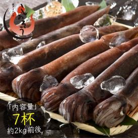 いか イカ 生 するめいか 7杯（約2kg前後）日本海産