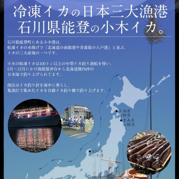 いか イカ 生 するめいか 7杯（約2kg前後）日本海産03