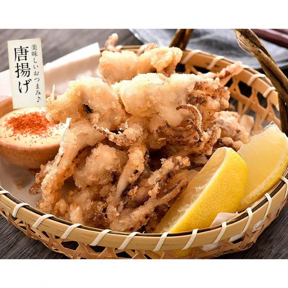 いか イカ 生 するめいか 7杯（約2kg前後）日本海産05