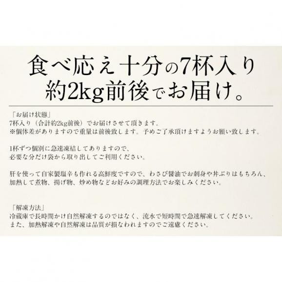 いか イカ 生 するめいか 7杯（約2kg前後）日本海産06