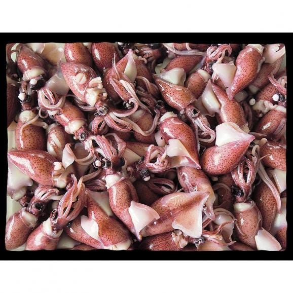 ホタルイカ ほたるいか 煮干し 600g （200g×3袋）03