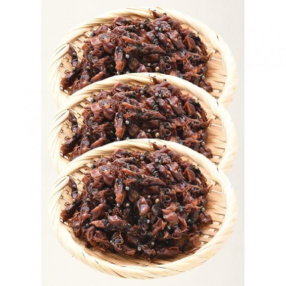 ホタルイカ ほたるいか 煮干し 600g （200g×3袋）06