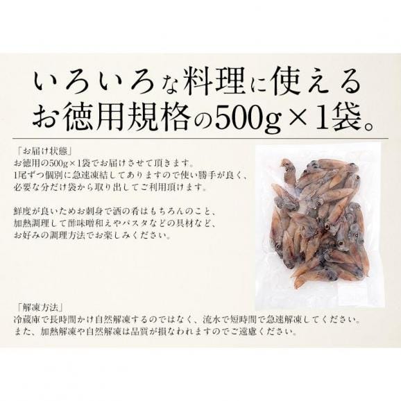 ホタルイカ 生食用 ほたるいか 500g05