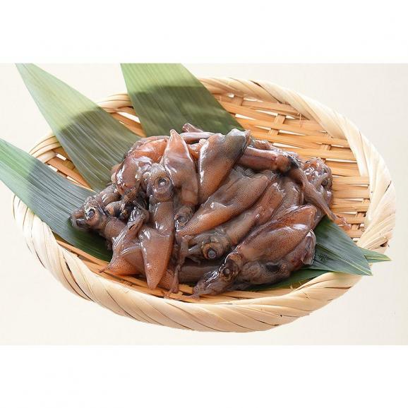 ホタルイカ 生食用 ほたるいか 500g06