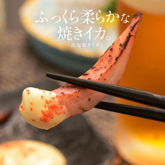 浜塩焼きイカ 500g 焼きイカ 焼きいか 冷凍02
