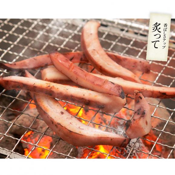 浜塩焼きイカ 500g 焼きイカ 焼きいか 冷凍05