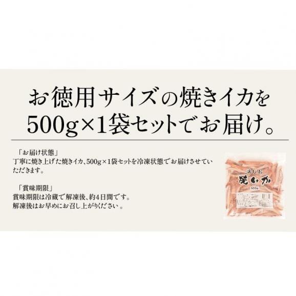 浜塩焼きイカ 500g 焼きイカ 焼きいか 冷凍06