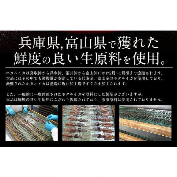 ホタルイカ ほたるいか 素干し 100g 蛍イカ03