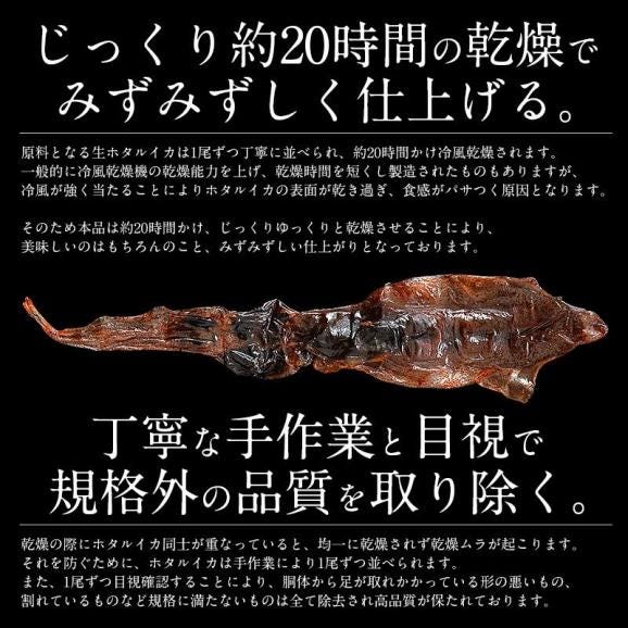 ホタルイカ ほたるいか 素干し 100g 蛍イカ04