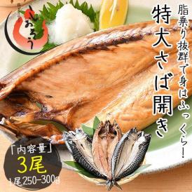 干物 さば サバ 鯖 特大サイズ 約250?300g×3尾