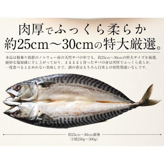 干物 さば サバ 鯖 特大サイズ 約250?300g×3尾03