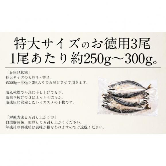 干物 さば サバ 鯖 特大サイズ 約250?300g×3尾05