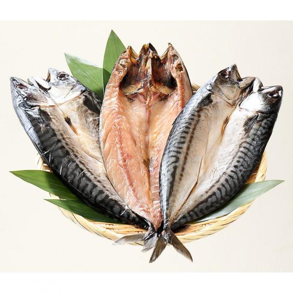 干物 さば サバ 鯖 特大サイズ 約250?300g×3尾06
