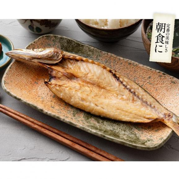 干物 詰め合わせ 5種 7尾 干物セット04