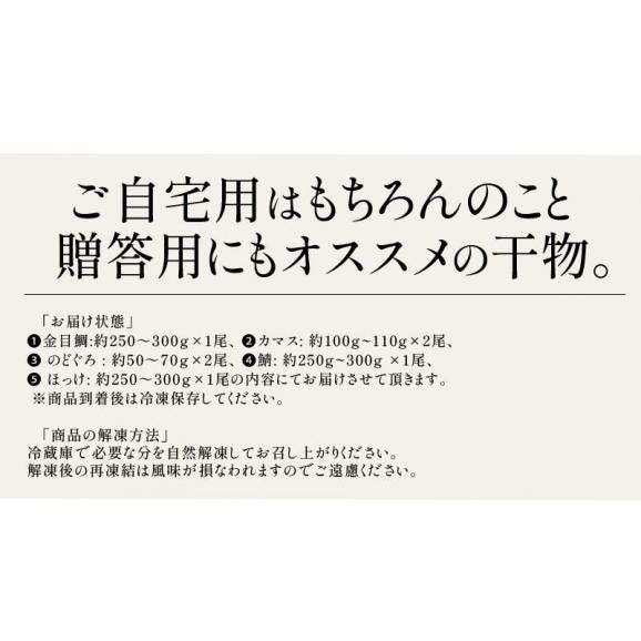 干物 詰め合わせ 5種 7尾 干物セット05