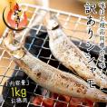 ししゃも シシャモ 訳あり 干物 子持ち メス 1kg