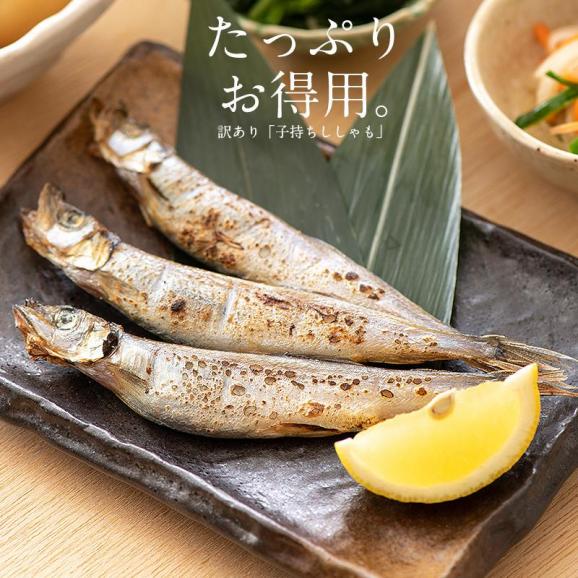 ししゃも シシャモ 訳あり 干物 子持ち メス 1kg02