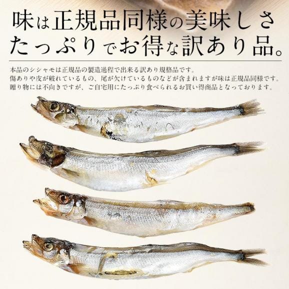 ししゃも シシャモ 訳あり 干物 子持ち メス 1kg03