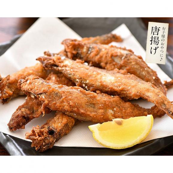 ししゃも シシャモ 訳あり 干物 子持ち メス 1kg04