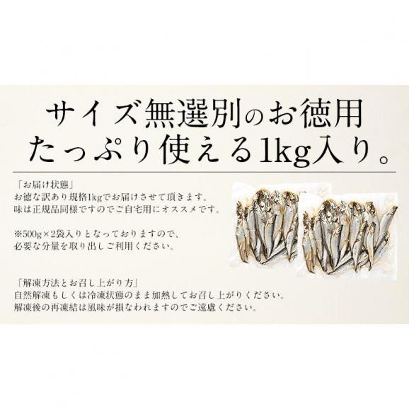 ししゃも シシャモ 訳あり 干物 子持ち メス 1kg05