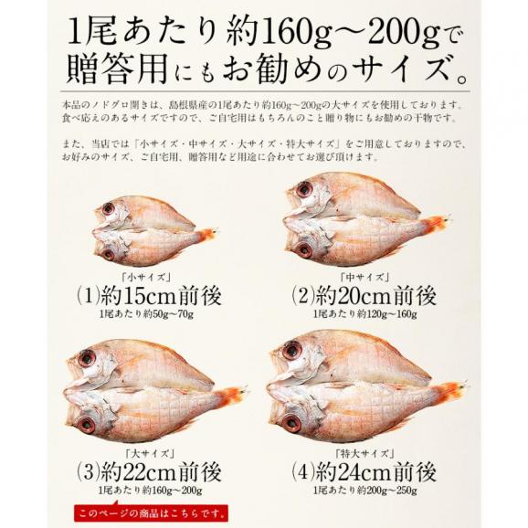 のどぐろ 干物 一夜干し 浜田 約160?200g×2尾03