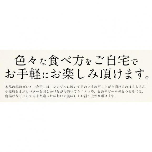 干物 越前ガレイ 越前がれい カレイ かれい 鰈 大サイズ×2尾04
