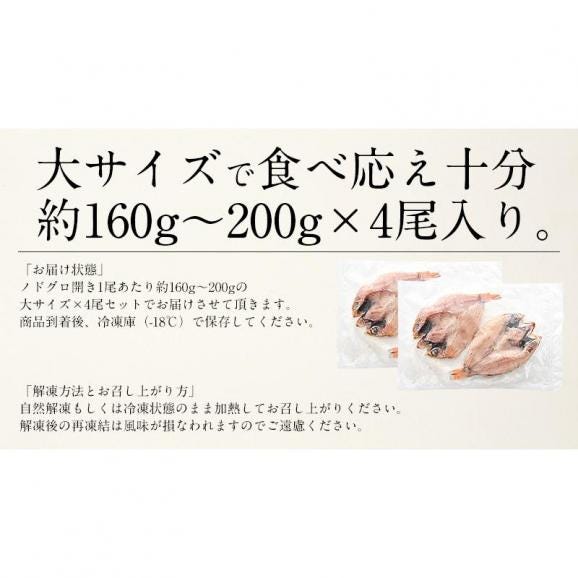 のどぐろ 干物 一夜干し 浜田 約160?200g×4尾 大サイズ 約22cm05