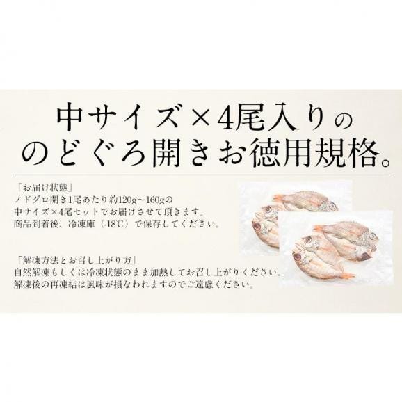 のどぐろ 干物 一夜干し 浜田 約120?160g×4尾 中サイズ 約20cm06