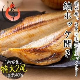 縞ホッケ 干物 一夜干し 約400×2尾 特大サイズ