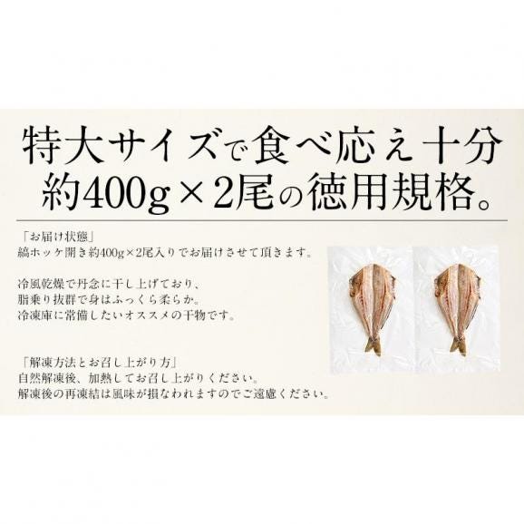 縞ホッケ 干物 一夜干し 約400×2尾 特大サイズ06