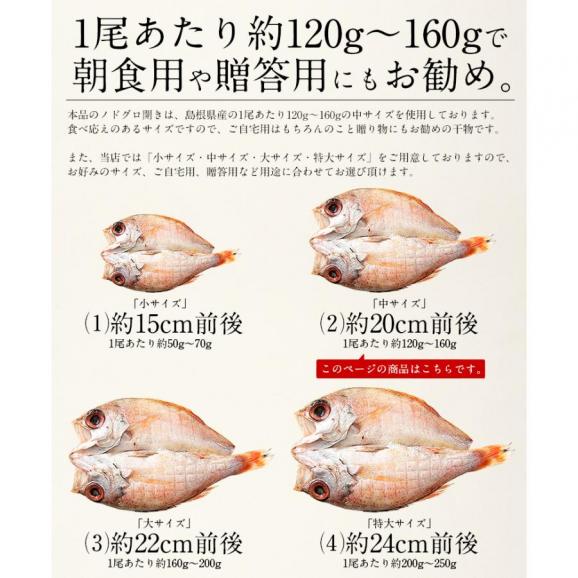 のどぐろ 干物 一夜干し 浜田 約120?160g×2尾 中サイズ 約20cm04