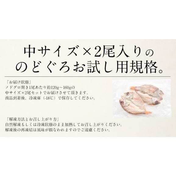 のどぐろ 干物 一夜干し 浜田 約120?160g×2尾 中サイズ 約20cm06