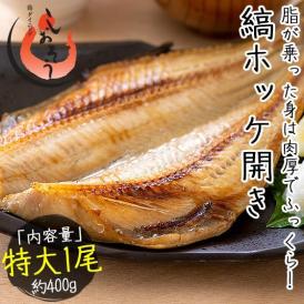 縞ホッケ 干物 一夜干し 約400×1尾 特大サイズ