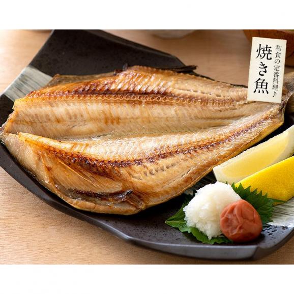 縞ホッケ 干物 一夜干し 約400×1尾 特大サイズ04