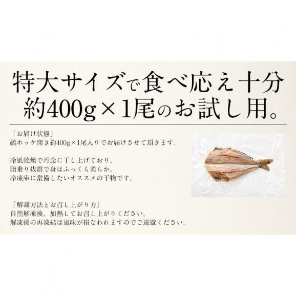 縞ホッケ 干物 一夜干し 約400×1尾 特大サイズ05