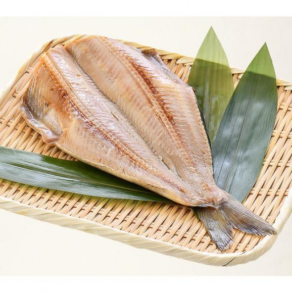 縞ホッケ 干物 一夜干し 約400×1尾 特大サイズ06