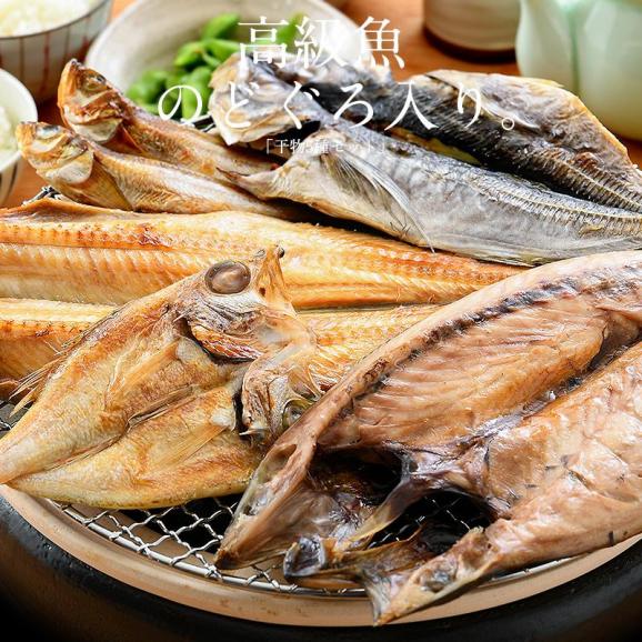 干物 詰め合わせ 5種 干物セット02