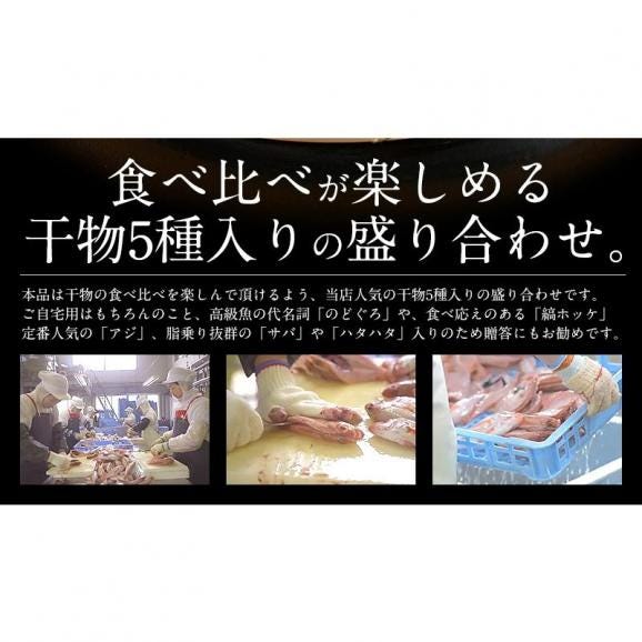 干物 詰め合わせ 5種 干物セット03