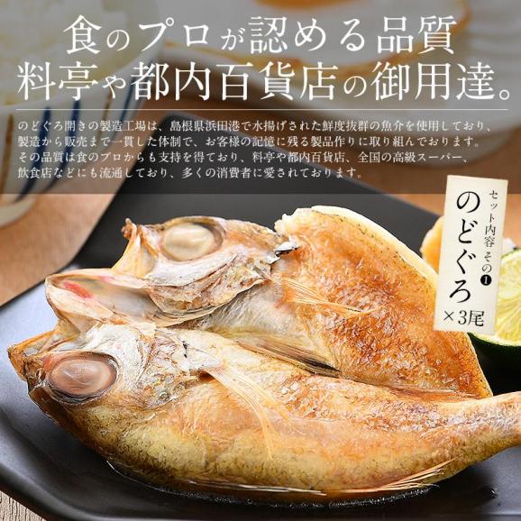 干物 詰め合わせ 5種 干物セット04